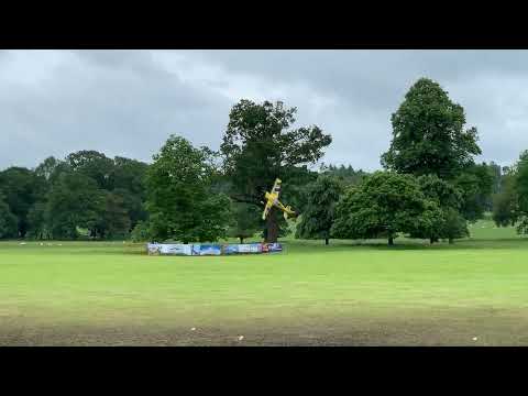 Pilot Extra 330LX at Weston Park 2019