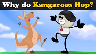 Why do Kangaroos Hop? + more videos | #aumsum #kids #science #education #children