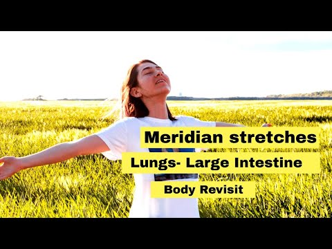 Exercises for Healthy Lungs- Large Intestine- Lunge- Dickdarm, Meridian stretches-Metal Element.