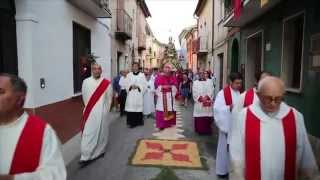 preview picture of video 'Alife, 11 agosto 2014 - San Sisto I, Papa&Martire'