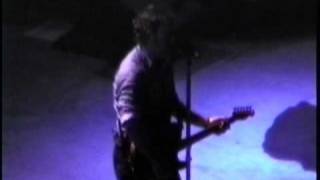 Bruce Springsteen - SHE&#39;S THE ONE 2000  live