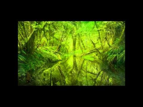 Tomatohead - Woods (Brightside)