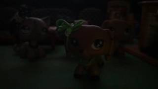 "Christmas Canon" Christmas special