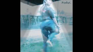 Download lagu story WA burung murai .lucu mp3 Download lagu story WA burung murai .lucu mp3