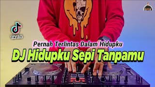 Download lagu DJ HIDUPKU SEPI TANPAMU PERNAH TERLINTAS DALAM HID... mp3