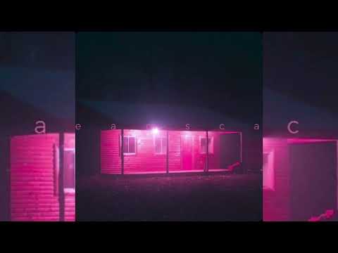 Synthwave goose - blade runner 2049