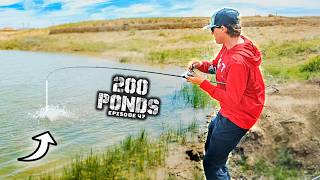 This Pond Lure ACTUALLY WORKED?? ("200 Ponds" EP. 47)
