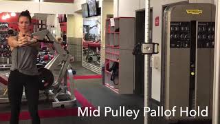 Mid Pulley Pallof Hold
