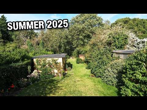 Fixing my amateur gardening mistakes - summer 2025 in our garden!