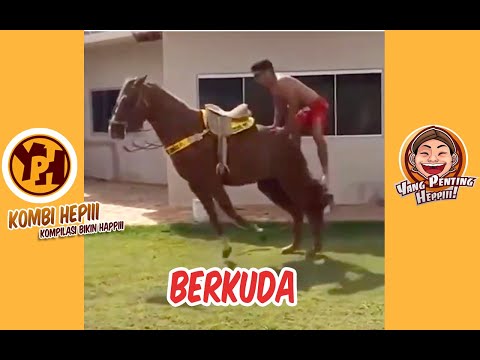 kombi-heppiii-berkuda