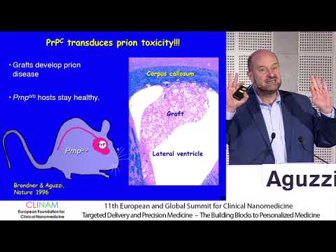 Prions: Deadly Self‐replicating Nanomachines