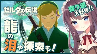 【ゼルダの伝説ティアーズオブザキングダム】地上絵で龍の泪や探索ラムダの財宝やコログ大漁！寄り道大好き【ティアキン 女性実況 Vtuber なちゅモカ TotK ライブ配信】#54