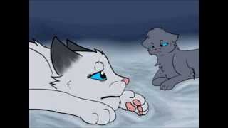 Mistykit and Mosskit AMV-Severus and Stone