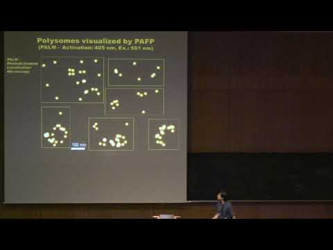 Student talk by Ivan Sorokin @Horizons2018 in Göttingen