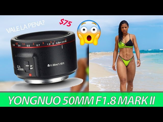 Vídeo relacionado con Yongnuo YN 50mm F / 1.8 AF/MF Gran Apertura Lente de Enfoque Automático para Canon EF Monte EOS Cámara LF651