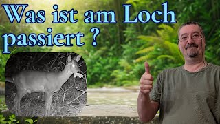 Was hat die TC02 am Loch aufgenommen ?