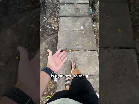 Weird Things for Foreigners in INDIA