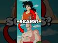 important SCARS in Dragon Ball