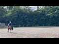 Warco de Wemmel, 4 ans 