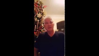 Holly leaves and Christmas trees.