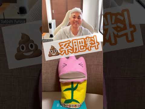 園芸 アンゼリカの肥料