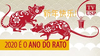 Miniatura do vídeo