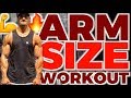 FULL ARM DAY. Finisher IS KILLER (Sets, Reps, Rest Shown)