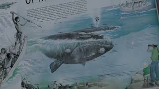 6.  WALVIS BAY, Namibia, Africa JULY 1, 2025. TUESDAY, DAY 28 2025 Crown Princess World Cruise.