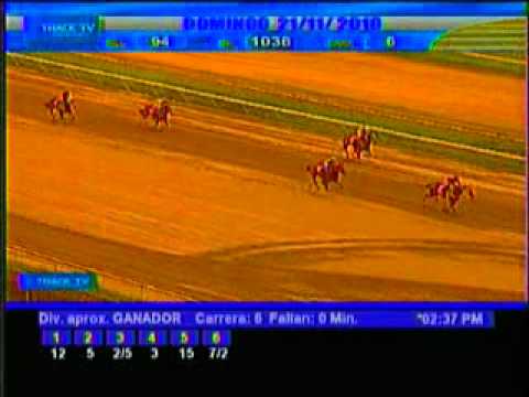 Resumen Domingo, 21 de Noviembre de 2010 - La Rinconada