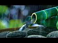Calm Your Mind Sleep With Relaxing Rain Sounds Bamboo Water Fountain