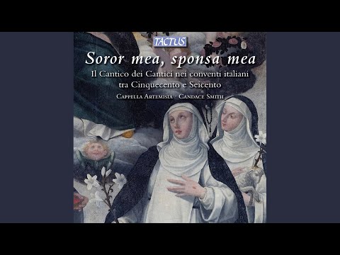 Anima mea liquefacta est