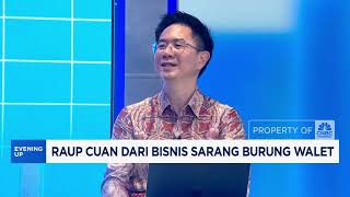 Download lagu Kuasai 80% Produksi Global, Sarang Walet RI Kian Diminati mp3 Download lagu Kuasai 80% Produksi Global, Sarang Walet RI Kian Diminati mp3