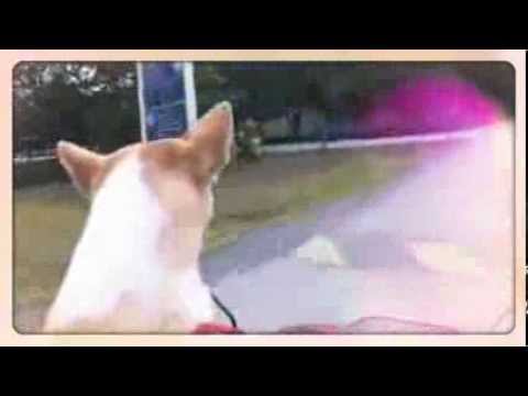 You make me happy - Cathy Heller : Gluta Story