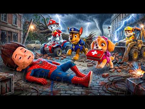 ¡Dios mío...! ¡RYDER despierta, por favor! ¡No abandones a SKYE! | PAw PaTRol en Español