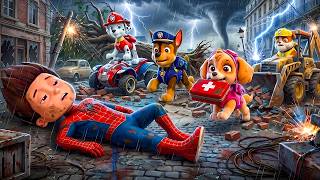 ¡Dios mío...! ¡RYDER despierta, por favor! ¡No abandones a SKYE! | PAw PaTRol en Español MQDEFAULT Thumbnail