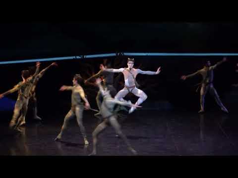 @ShaleDancer in "Sylvia" by Manuel Legris - Faun