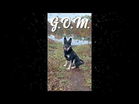 (FREE) Bizzle x NF x Bryann T type beat "G.O.M."