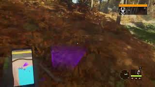#3 theHunter.Call of the Wild