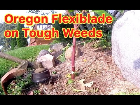 LINE TRIMMER CUTTING THICK DIAMATER WEEDS WITH OREGON FLEXIBLADE