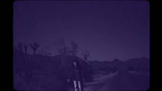 Mount Jacinto – “Forest”