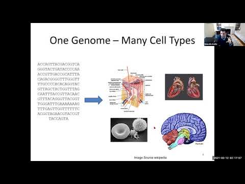 Regulatory Genomics - Deep Learning in Life Sciences - Lecture 07 (Spring 2021)