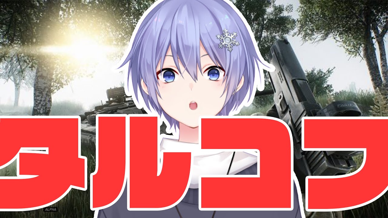 【Escape From Tarkov】ゆっくりしたかったので lv48~【白雪レイド 】