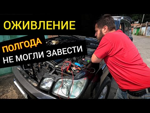 ОЖИВЛЕНИЕ — Lexus LX470, не заводился полгода!