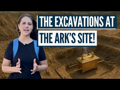 It's Been Found and Covered Up! Insights with Aline