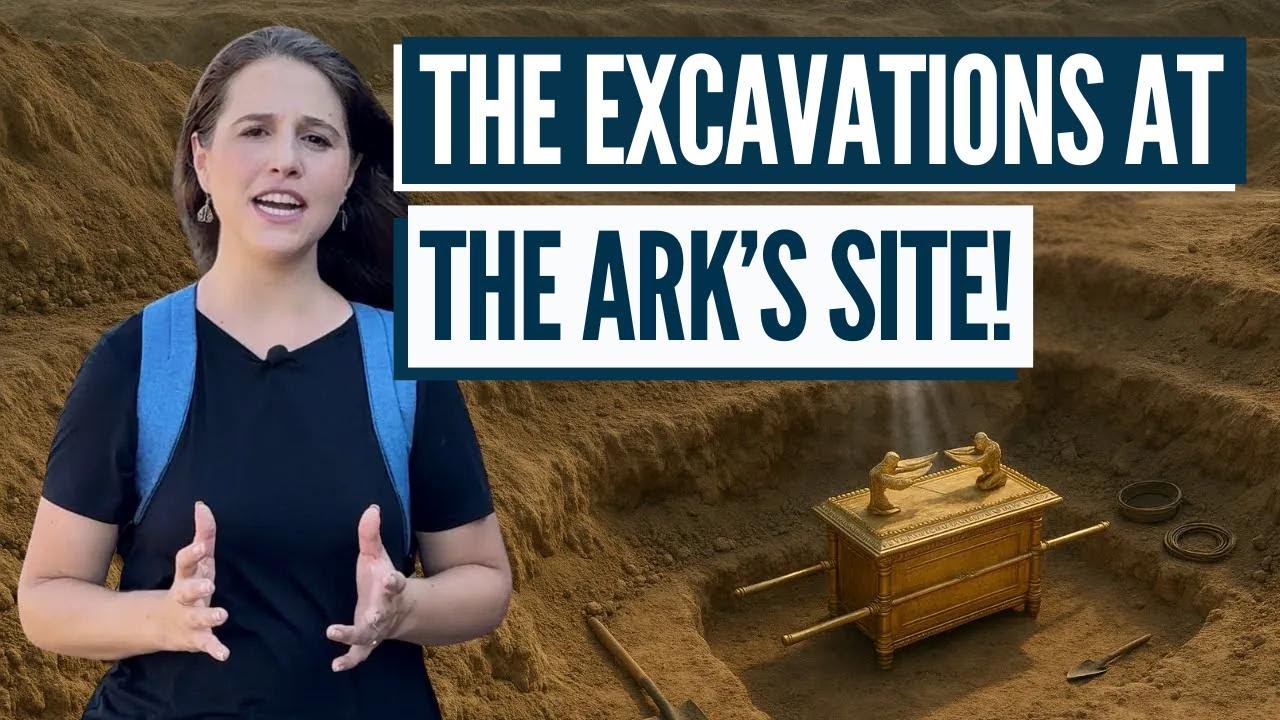 It's Been Found and Covered Up! Insights with Aline