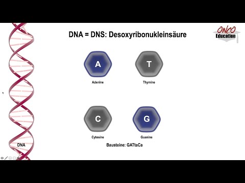 Genetische Grundlagen - DNA