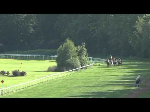 KV, 14. 6. 2015, 7. dostih - Cena společnosti MAREK, s.r.o.