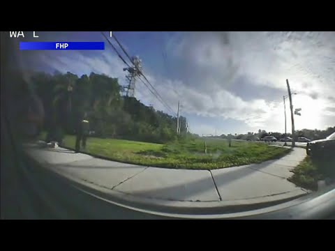 Fhp Accident Map