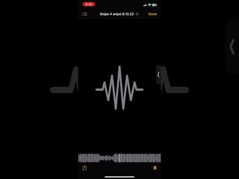 Bully55.6 unreleased