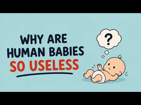 Why are Human Babies So Useless?
